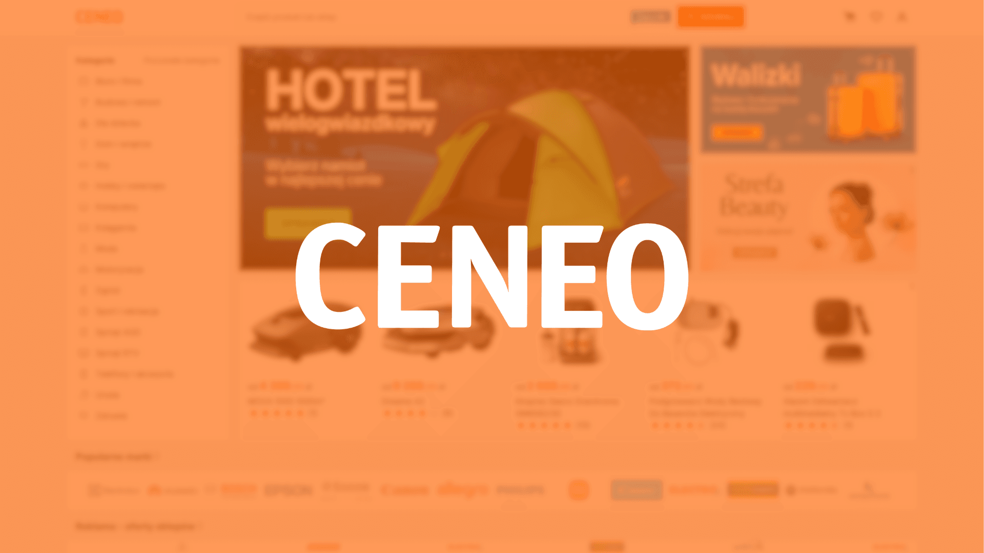 Ihr Ticket in die Welt des E-Commerce: bei Ceneo mit Gewinn verkaufen