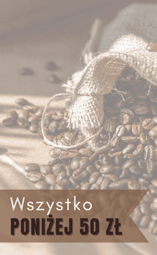 Vertikale Aktionskachel „Wszystko poniżej 50 zł“