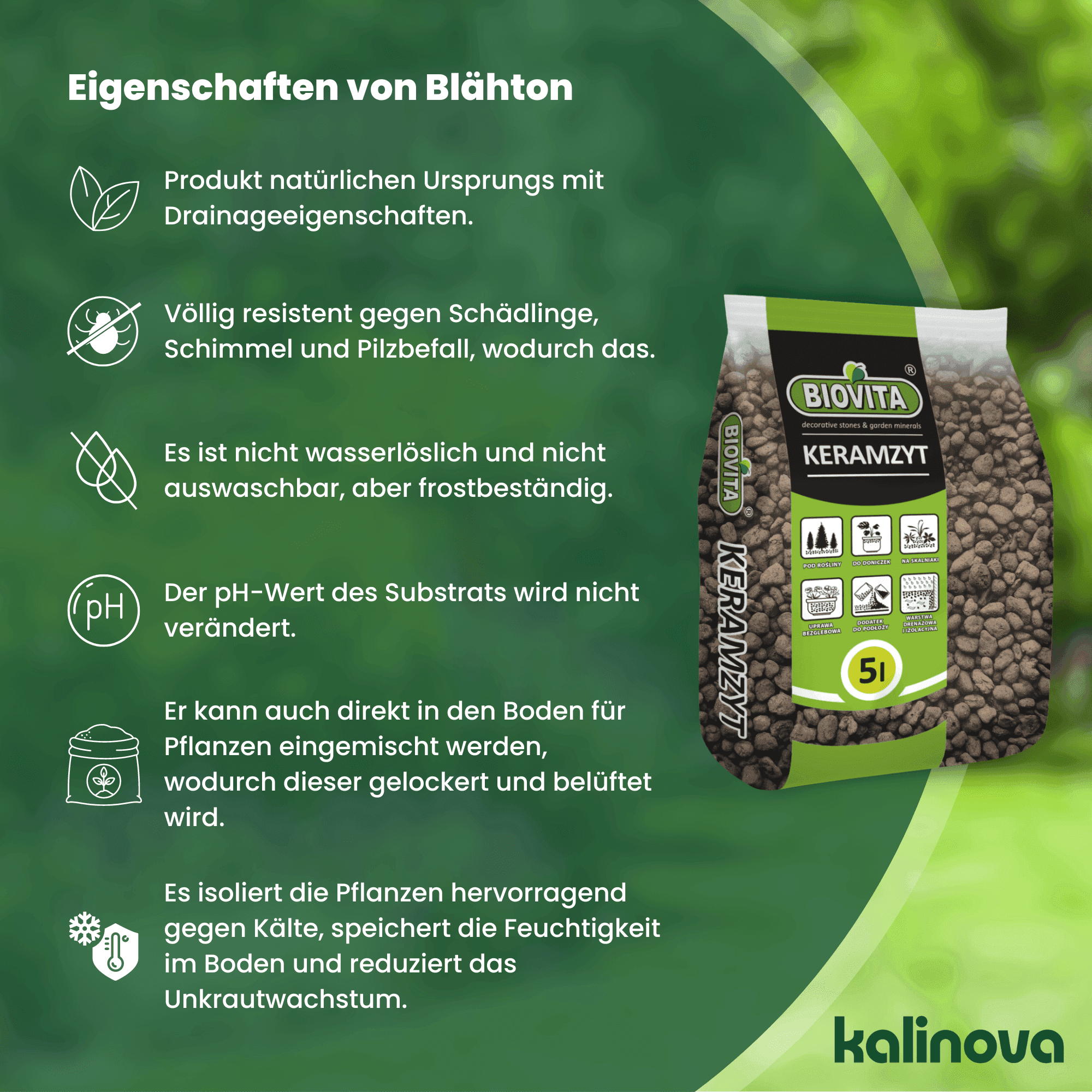 Beispiel einer Grafikumsetzung