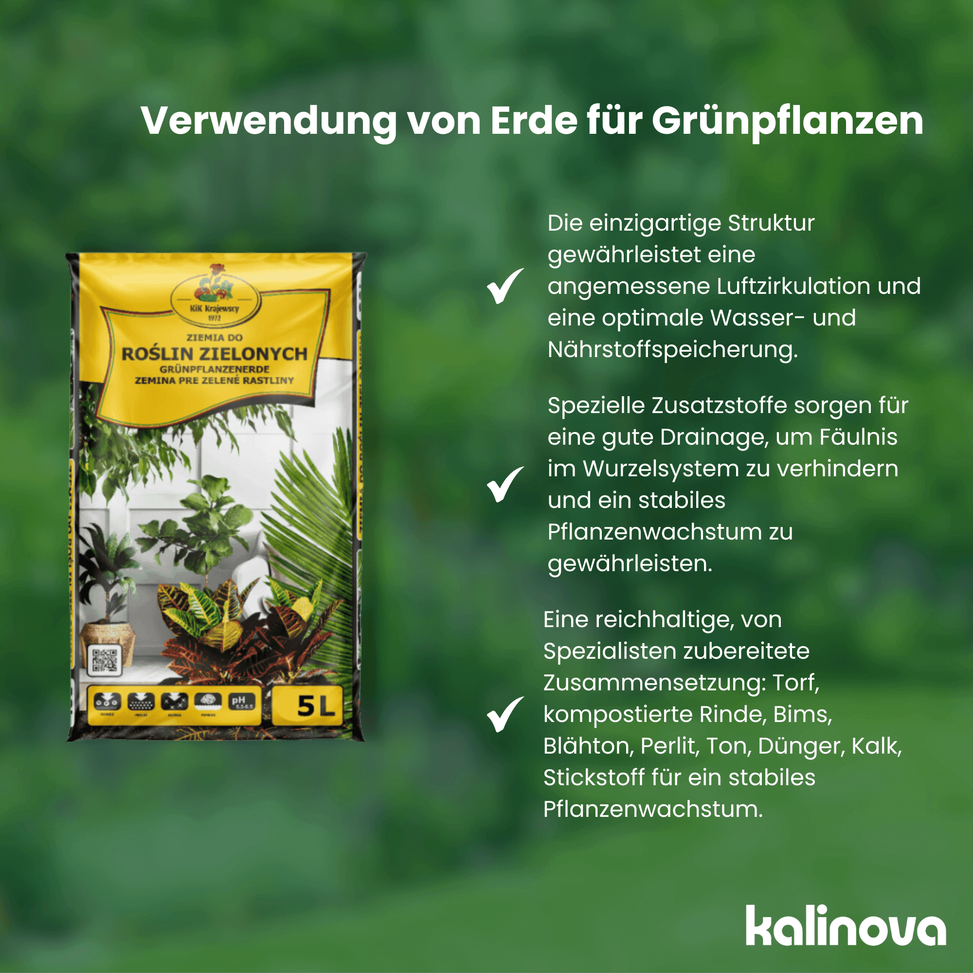 Beispiel einer Grafikumsetzung