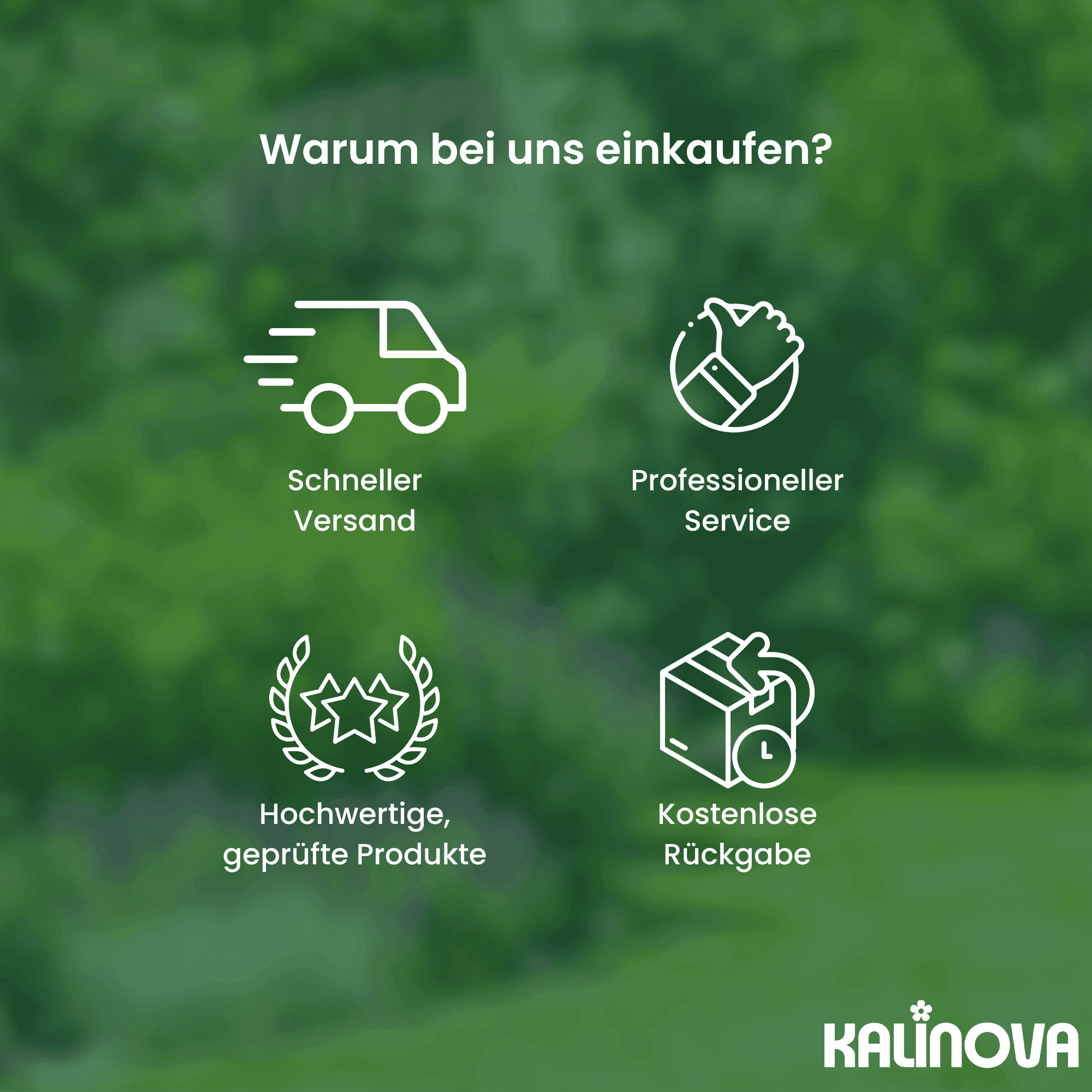 Beispiel einer Grafikumsetzung