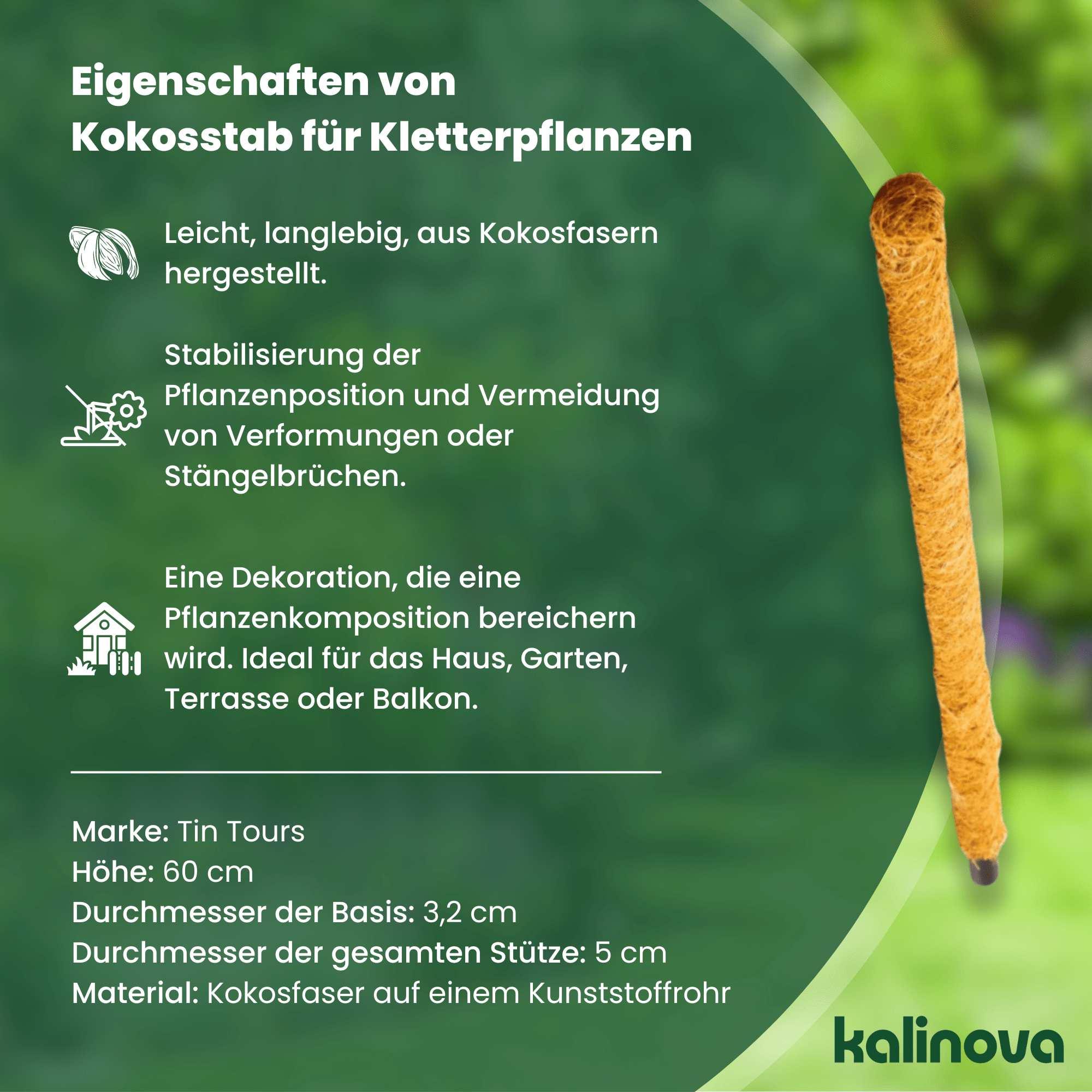Beispiel einer Grafikumsetzung