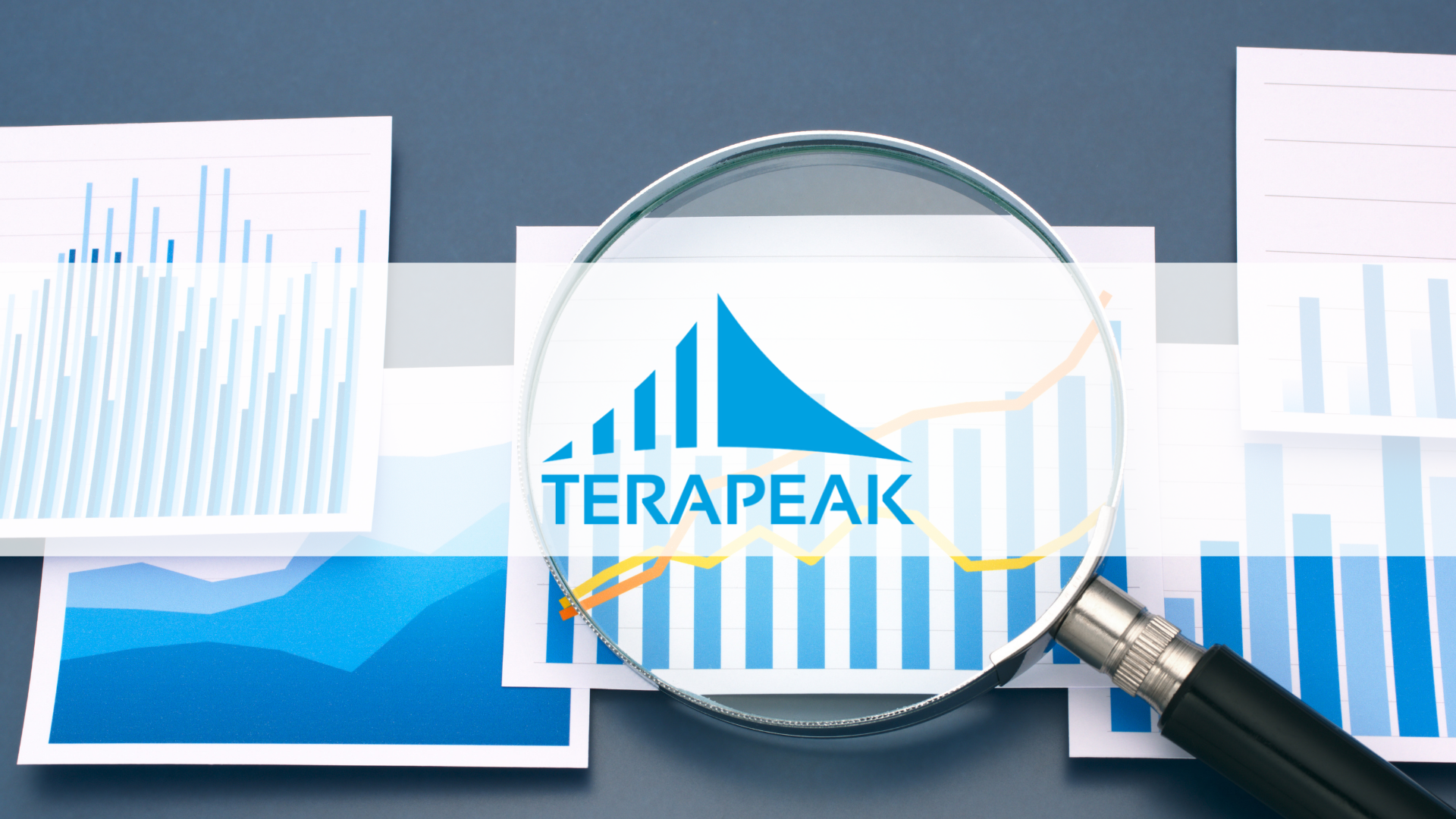 Terapeak-Logo im Glas einer Lupe über Balkendiagrammen und Trendlinien – Nachfrageanalyse auf eBay