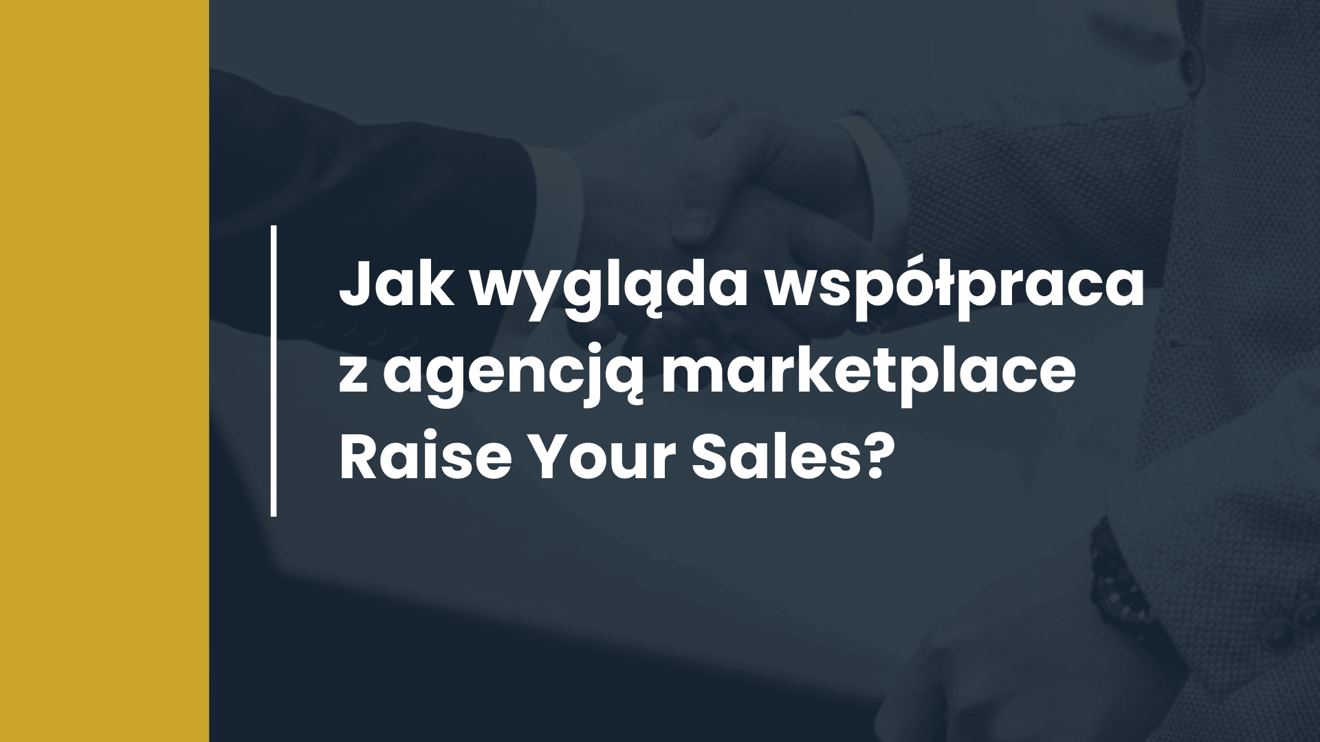Wie läuft die Zusammenarbeit mit der Marketplace-Agentur Raise Your Sales?