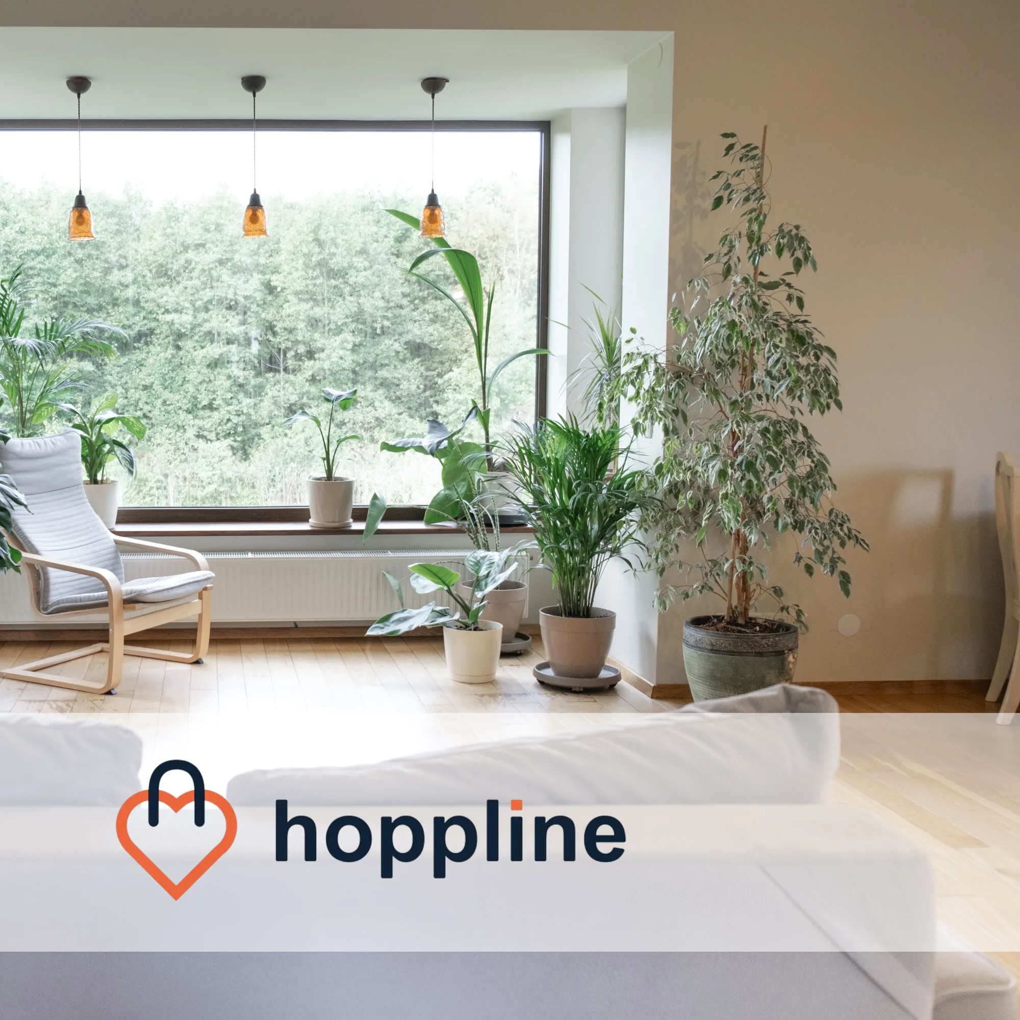 Hoppline | Fallstudie Steigern Sie Ihren Umsatz