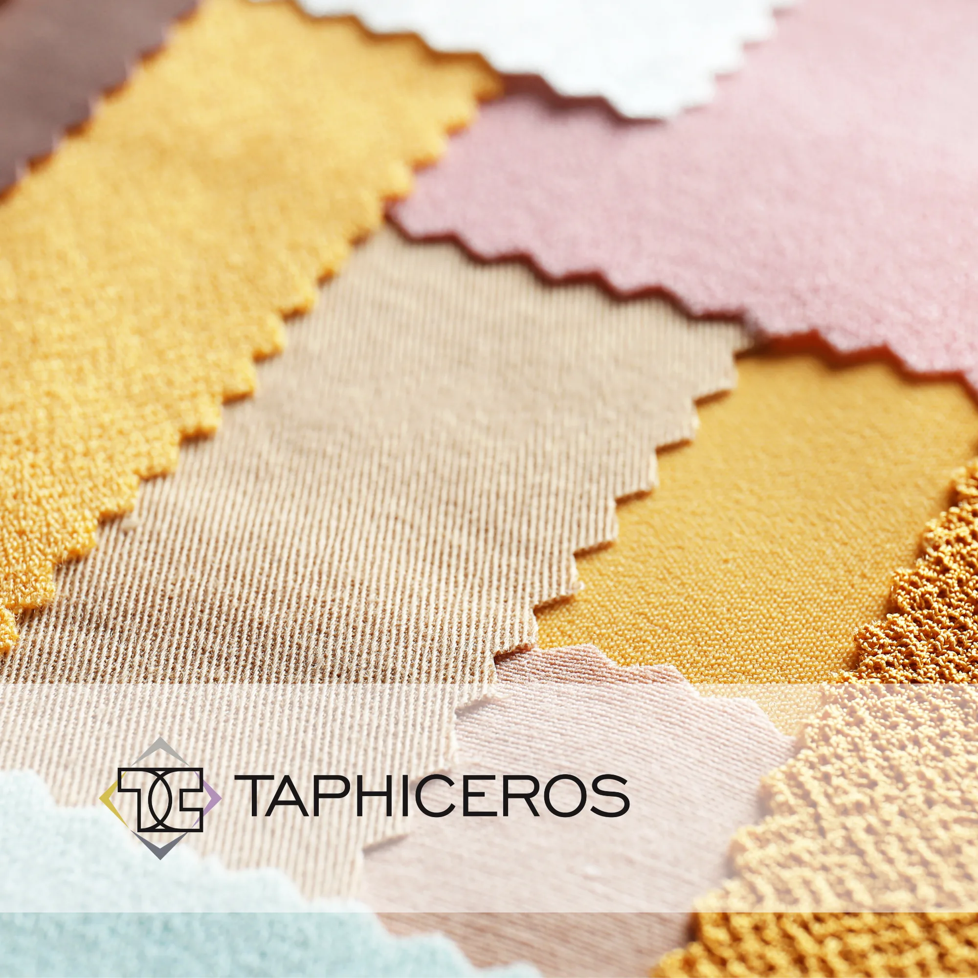 Taphiceros | Fallstudie Steigern Sie Ihren Umsatz