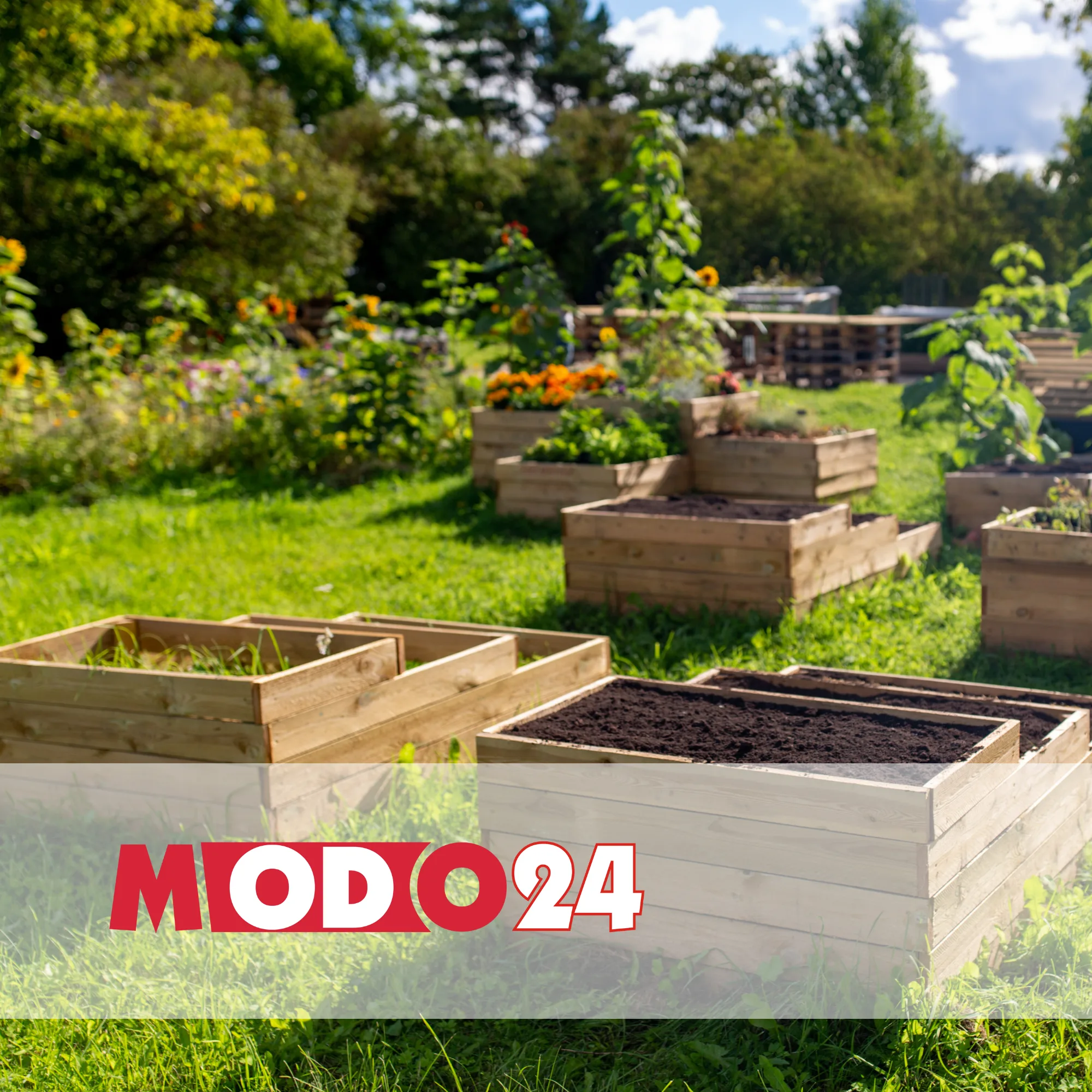 MODO24 | Fallstudie Raise Your Sales
